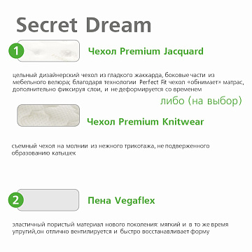 Ultra Secret Dream
