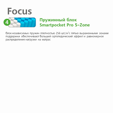 Focus