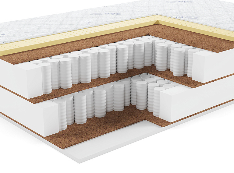 Премьер Тип 39 (Aloe vera)